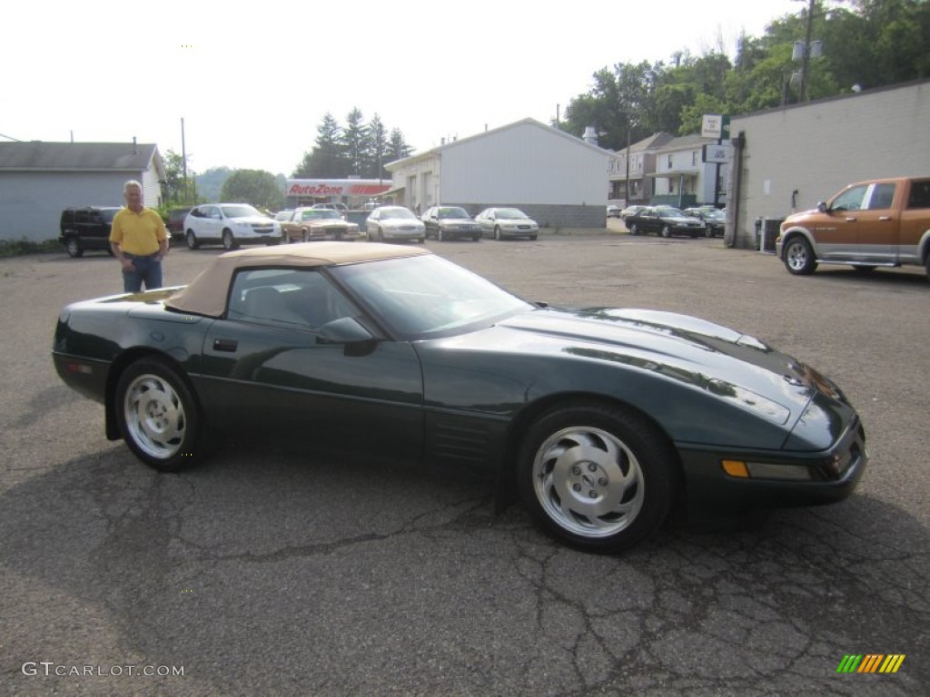 1994 Corvette Convertible - Polo Green Metallic / Light Beige photo #10