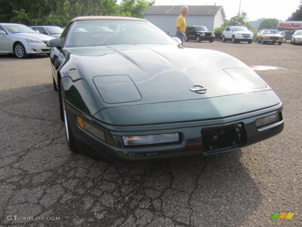 1994 Corvette Convertible - Polo Green Metallic / Light Beige photo #11