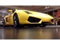 2010 Giallo Midas (Yellow) Lamborghini Gallardo LP550-2 Valentino Balboni Coupe  photo #2