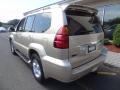 Savannah Beige Metallic - GX 470 Photo No. 4