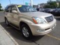 Savannah Beige Metallic - GX 470 Photo No. 8