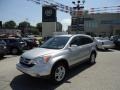 2010 Alabaster Silver Metallic Honda CR-V EX-L AWD  photo #47