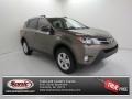 Pyrite Mica 2013 Toyota RAV4 XLE