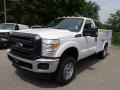 2013 Oxford White Ford F250 Super Duty XL Regular Cab 4x4 Chassis  photo #4