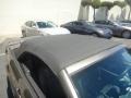 2005 Mineral Grey Metallic Ford Mustang GT Premium Convertible  photo #34