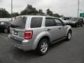 Ingot Silver Metallic - Escape XLT 4WD Photo No. 4