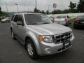Ingot Silver Metallic - Escape XLT 4WD Photo No. 5