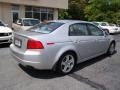 Alabaster Silver Metallic - TL 3.2 Photo No. 8