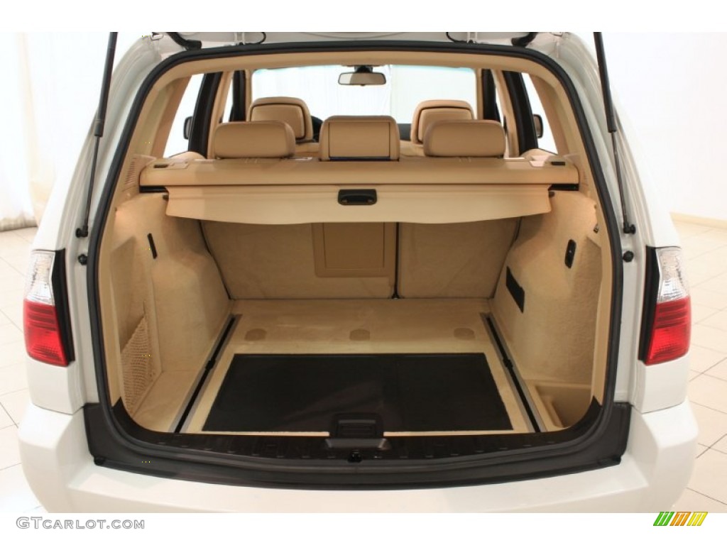 2009 BMW X3 xDrive30i Trunk Photos