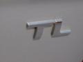 Alabaster Silver Metallic - TL 3.2 Photo No. 31