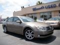 Spirited Bronze Pearl - Maxima 3.5 SE Photo No. 25