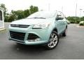 2013 Frosted Glass Metallic Ford Escape SEL 2.0L EcoBoost  photo #1