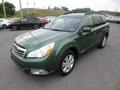 Cypress Green Pearl 2010 Subaru Outback 2.5i Premium Wagon Exterior