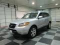 2008 Bright Silver Hyundai Santa Fe SE  photo #3