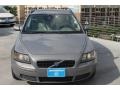 Flint Gray Metallic - V50 2.4i Photo No. 2