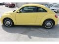 Yellow Rush - Beetle 2.5L Photo No. 3