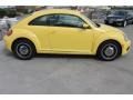 Yellow Rush - Beetle 2.5L Photo No. 9