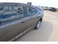 Dark Titanium Metallic - Charger SE Photo No. 12