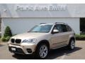 Orion Silver Metallic 2013 BMW X5 xDrive 35i