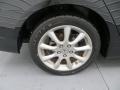 2007 Acura TSX Sedan Wheel and Tire Photo