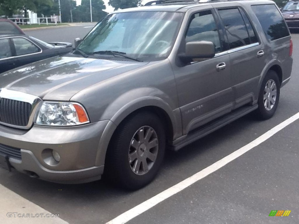 2004 Navigator Luxury 4x4 - Mineral Grey Metallic / Dove Grey photo #2