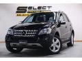 Black 2010 Mercedes-Benz ML 350 4Matic