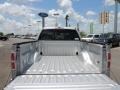 2009 Brilliant Silver Metallic Ford F150 Platinum SuperCrew  photo #4