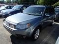 2009 Sage Green Metallic Subaru Forester 2.5 X L.L.Bean Edition  photo #3