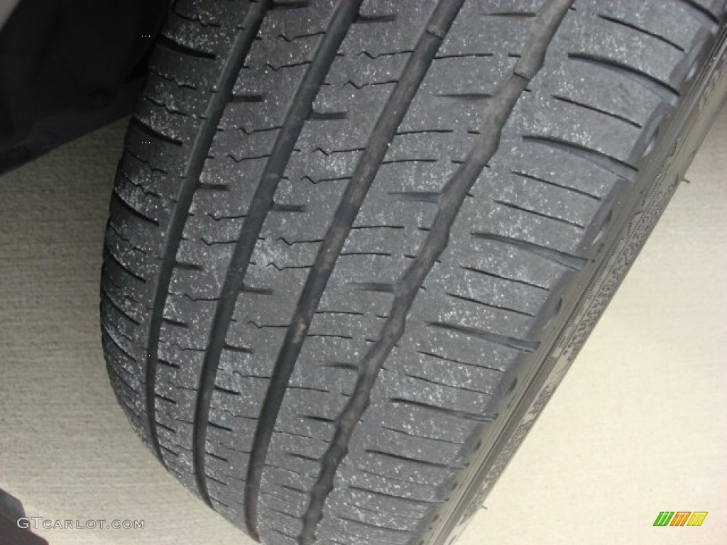 2011 CT 200h Hybrid Premium - Smokey Granite Mica / Caramel photo #30