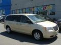 White Gold 2010 Chrysler Town & Country LX