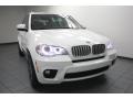 Alpine White - X5 xDrive 50i Photo No. 5