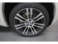 Alpine White - X5 xDrive 50i Photo No. 7