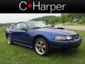 Sonic Blue Metallic 2002 Ford Mustang Gallery