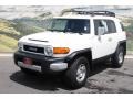 Iceberg White - FJ Cruiser 4WD Photo No. 5