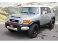 2010 Silver Fresco Metallic Toyota FJ Cruiser 4WD  photo #5