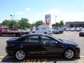 Nighthawk Black Pearl - TL 3.2 Photo No. 5