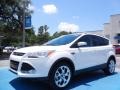 White Platinum 2014 Ford Escape Titanium 1.6L EcoBoost Exterior