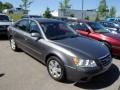 Willow Gray - Sonata GLS Photo No. 1