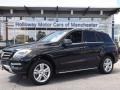 Black - ML 350 4Matic Photo No. 1