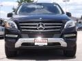 Black - ML 350 4Matic Photo No. 2