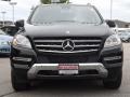 Black - ML 350 4Matic Photo No. 2