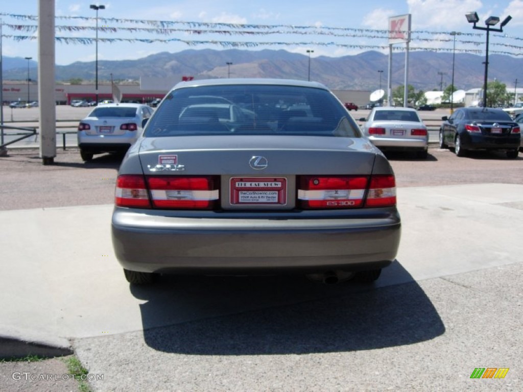 2000 ES 300 Sedan - Antique Sage Pearl / Sage photo #10