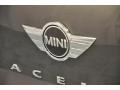 Royal Gray Metallic - Cooper Paceman Photo No. 16