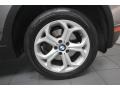 2010 BMW X3 xDrive30i Wheel and Tire Photo