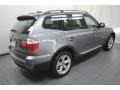 2010 Space Gray Metallic BMW X3 xDrive30i  photo #11