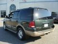 2003 Aspen Green Metallic Ford Expedition Eddie Bauer 4x4  photo #4