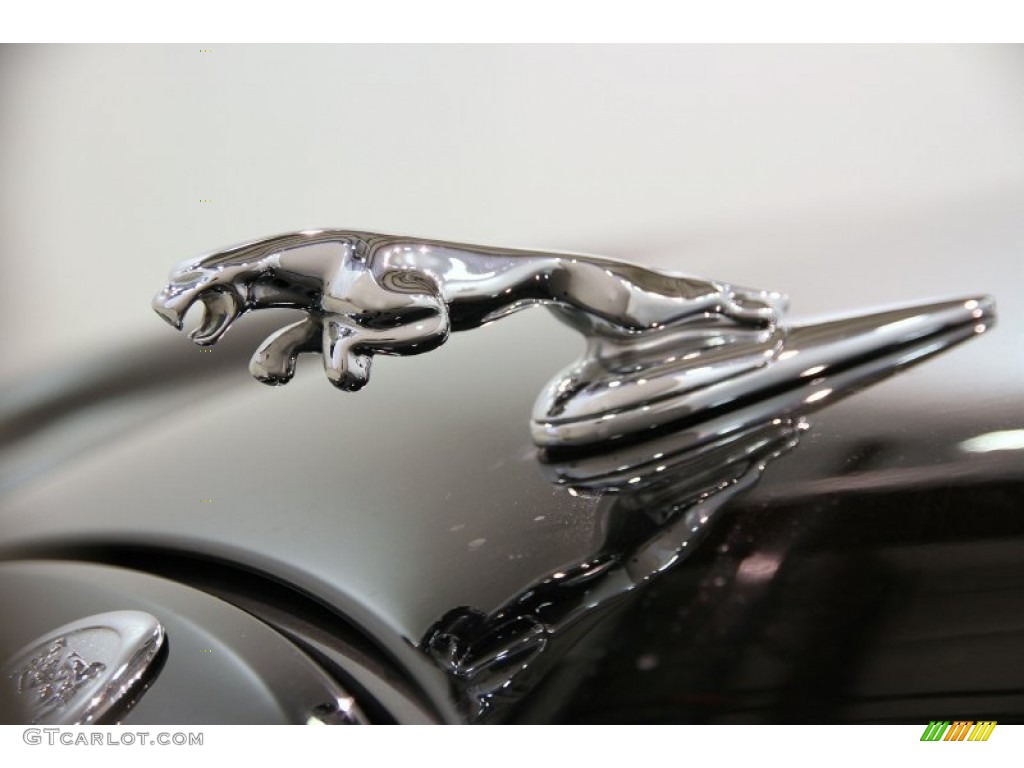 2007 Jaguar S-Type R Sport Marks and Logos Photo #82504502