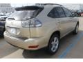 Savannah Beige Metallic - RX 330 Photo No. 4