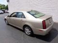 2005 Sand Storm Cadillac STS V6  photo #6