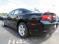 Pitch Black - Charger SE Photo No. 2